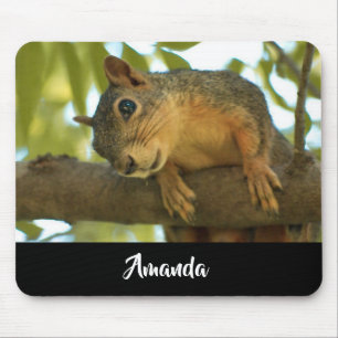 Mousepad Fotografia de Natureza de Esquilo Curiosa