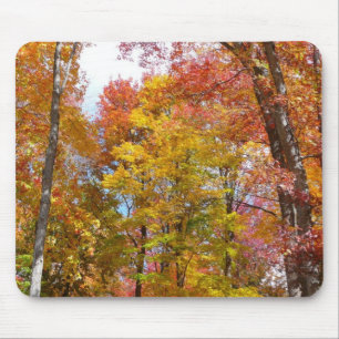 Mousepad Fotografia de Outono de Árvores Laranjas e Amarela