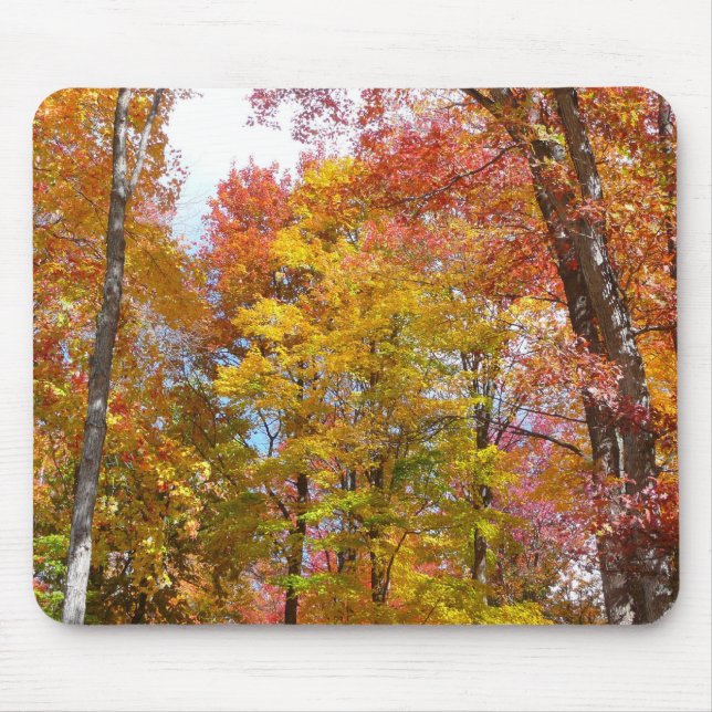 Mousepad Fotografia de Outono de Árvores Laranjas e Amarela (Frente)
