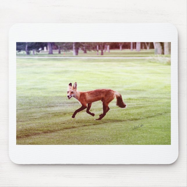 Mousepad fotografia de raposa vermelha correndo (Frente)