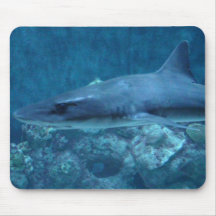 Fotografia de uma proteção do rato de tubarão