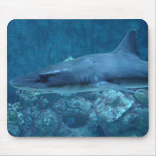 Mousepad Fotografia de uma proteção do rato de tubarão