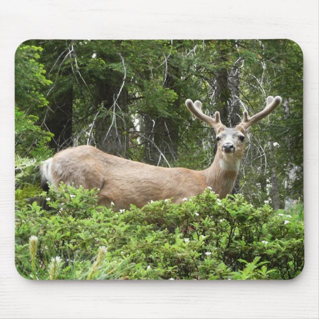 Mousepad Fotografia de Yosemite Deer Nature (Frente)