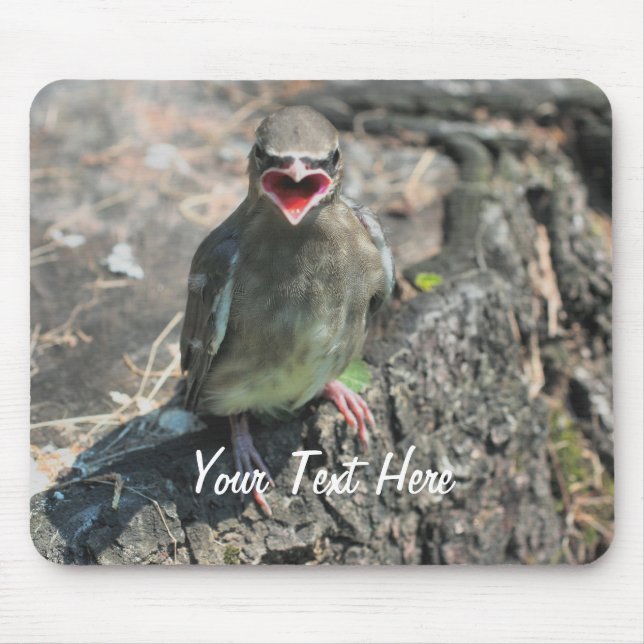 Mousepad Fotografia do Baby Bird (Frente)