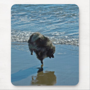 Mousepad Fotografia do Balé Keeshond - Arte de Cachorro Or