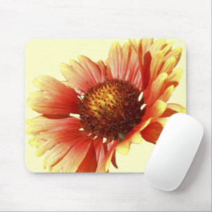 Mousepad Fotografia do Fim-Acima do Gaillardia da flor