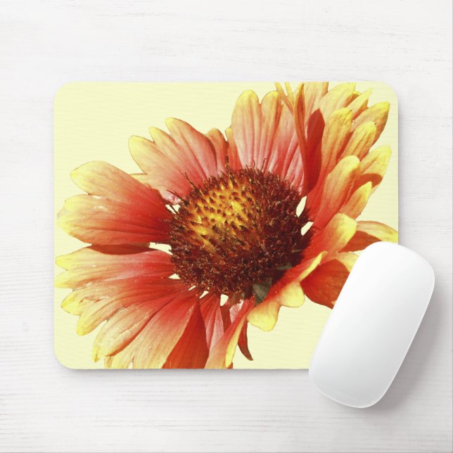 Mousepad Fotografia do Fim-Acima do Gaillardia da flor (Com mouse)