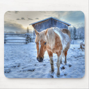 Mousepad Fotografia do Palomino Paint Horse and Barn Equine