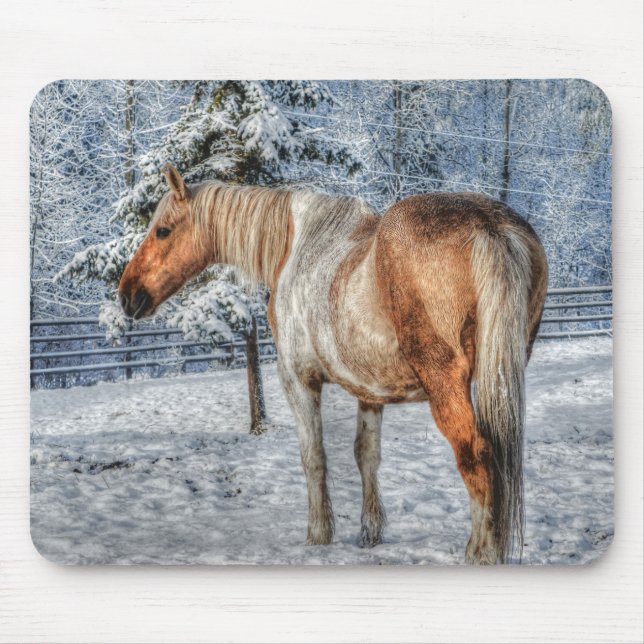 Mousepad Fotografia do Palomino Paint Horse and Snow Equine (Frente)