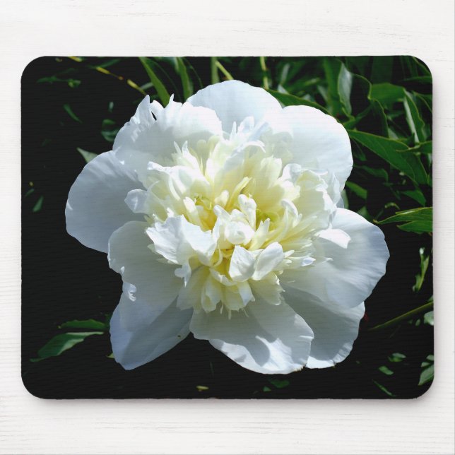 Mousepad Fotografia floral branca de pénia branca Elegante (Frente)