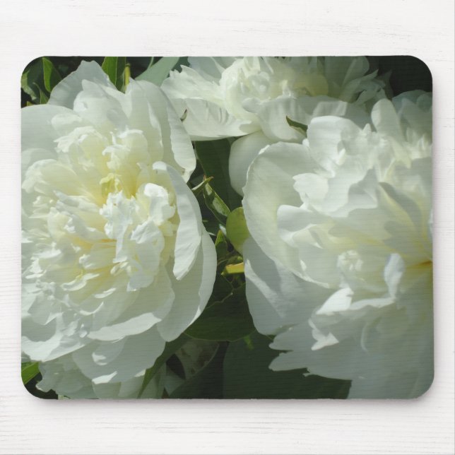 Mousepad Fotografia floral branca de pénia branca Elegante (Frente)