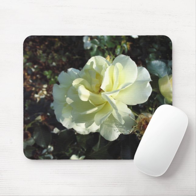 Mousepad Fotografia Floral de Rosa Branca Cremosa Elegante (Com mouse)
