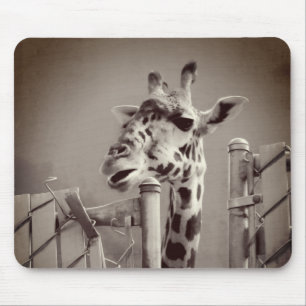 Mousepad Fotografia Girafa - Estilo Vintage
