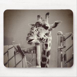 Mousepad Fotografia Girafa - Estilo Vintage