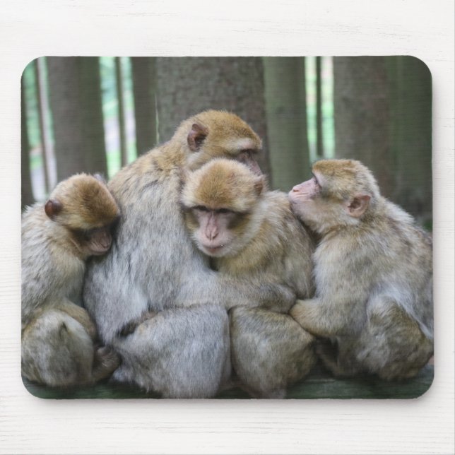 Mousepad Fotografia Hug da Família Ape Cute (Frente)