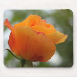 Mousepad Fotografia linda de rosa amarela.