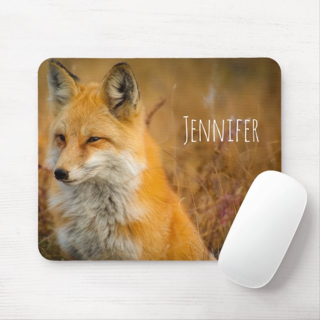 Mousepad Fotografia natural de Fox Vermelha Cura (Com mouse)