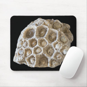 Mousepad Fotografia natural Fossilizada do Coral Rock
