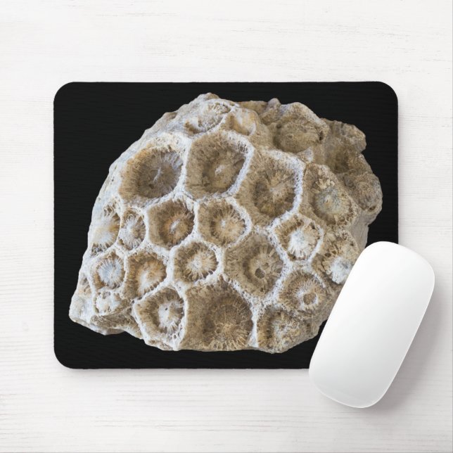 Mousepad Fotografia natural Fossilizada do Coral Rock (Com mouse)