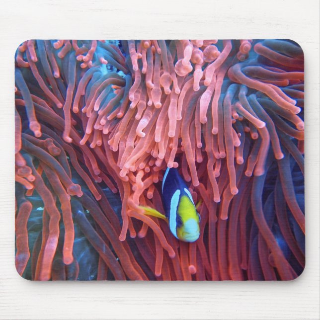 Mousepad Fotografia náutica marinha aquática (Frente)