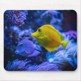 Mousepad Fotografia náutica marinha aquática