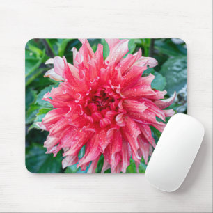 Mousepad Fotografia Rosa Dahlia, Flor Canadense