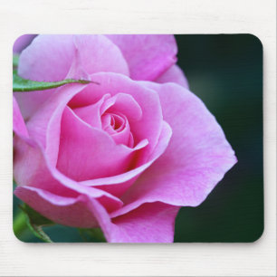 Mousepad Fotografia Rosa Rosa bonito