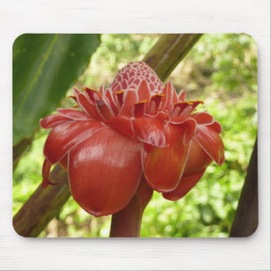 Mousepad Fotografia Tropical do Flor Vermelho Torch Ginger