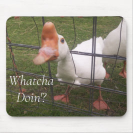 Mousepad Fotos De Animais Engraçadas Pad De Rato