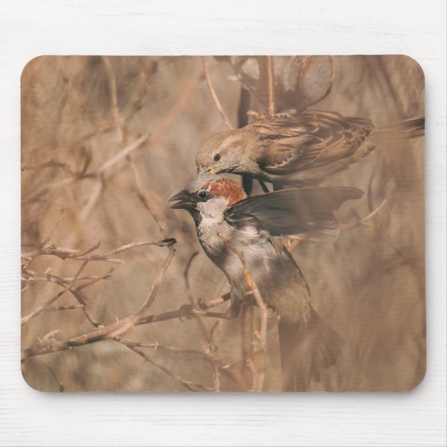 Mousepad Fotos de Pássaros Pardais Marrons Vida Selvagem Rú (Frente)