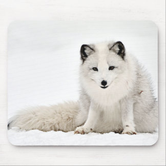 Mousepad Fox ártico na neve