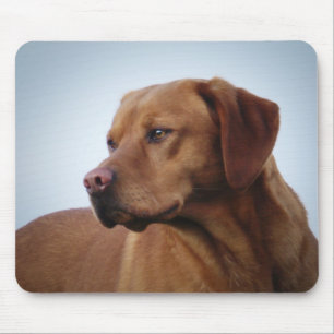 Mousepad Fox Labrador vermelho Gundog