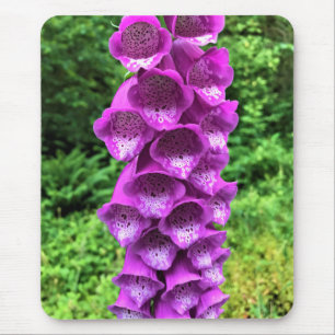Mousepad Foxglove Flowers, Oregon
