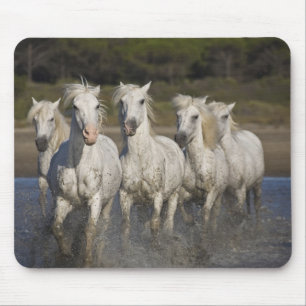 Mousepad França, Camargue. Cavalos correm