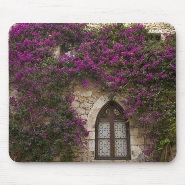Mousepad França, Provença, Eze. Rosa brilhante (Frente)