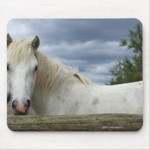 Mousepad France