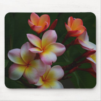 Mousepad Frangipani
