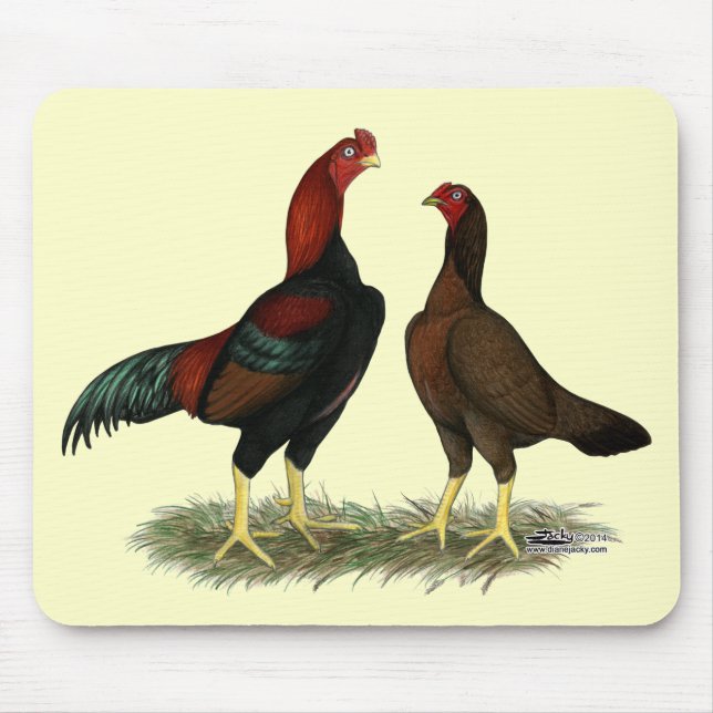 Mousepad Frangos Vermelhos Pretos Aseel (Frente)