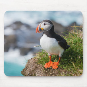 Mousepad Fratercula Arctica do papagaio-do-mar atlântico