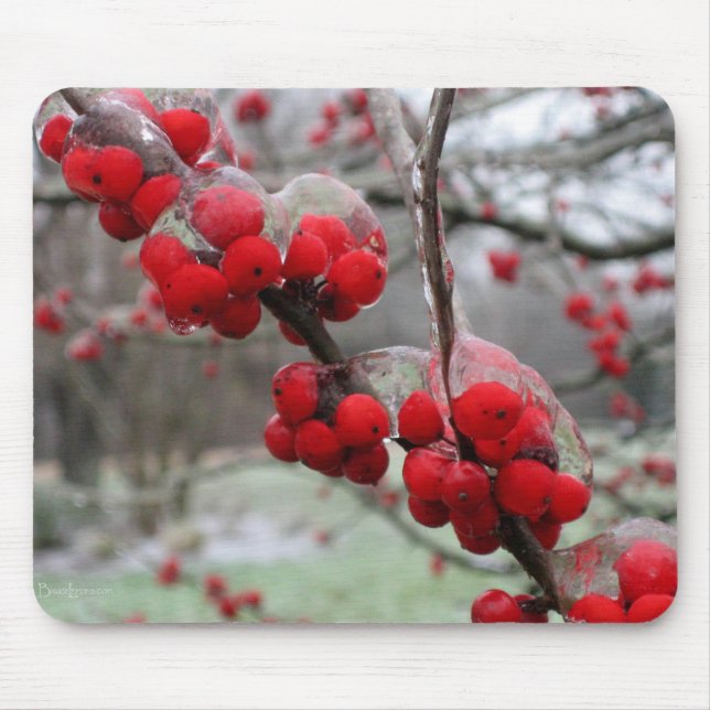 Mousepad Frio de inverno e gelo nos berços vermelhos (Frente)
