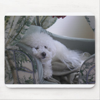 MOUSEPAD FRISE DE BICHON