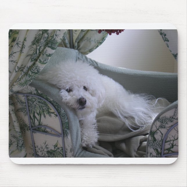 MOUSEPAD FRISE DE BICHON (Frente)