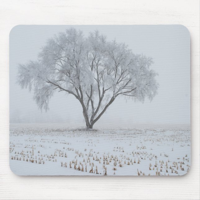 Mousepad Frost sobre uma árvore Solitário (Frente)