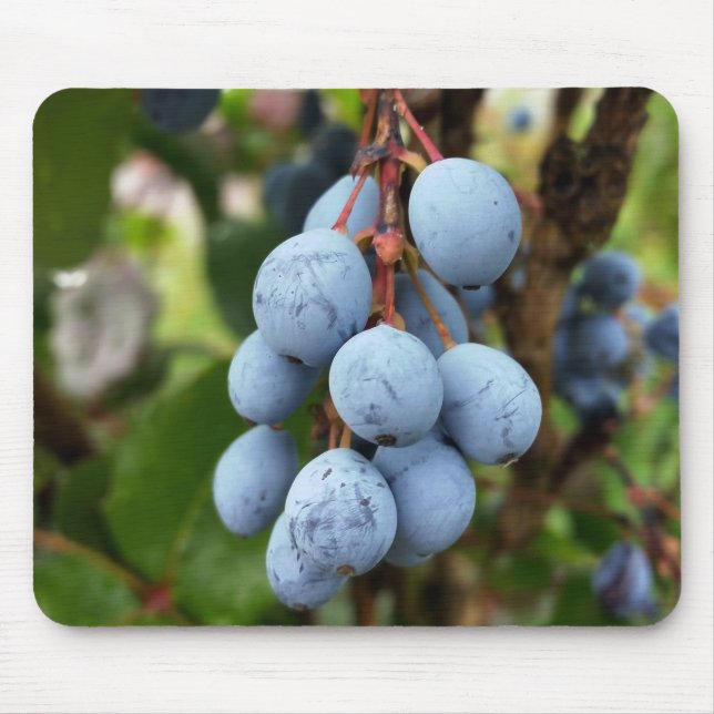 Mousepad Fruta de espinho negro (Frente)
