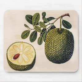 Mousepad Fruta e Folhagem de Durian