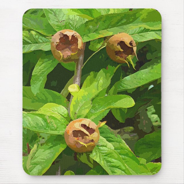 MOUSEPAD FRUTA MEDLAR (Frente)