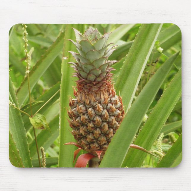 Mousepad Fruta tropical de ananás selvagem na natureza (Frente)