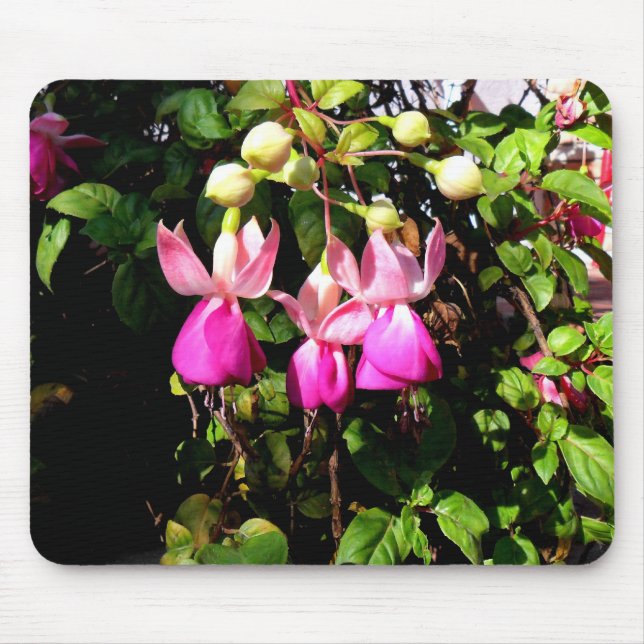Mousepad Fúcsia (Frente)
