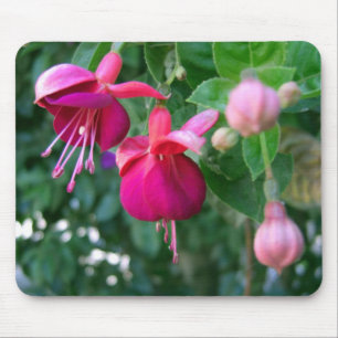 Mousepad Fúcsia 1