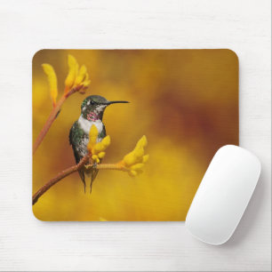 Mousepad Fulgor dourado
